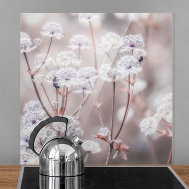 Panel szklany do kuchni - Pierzaste kwiaty polne