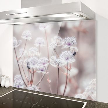 Panel szklany do kuchni - Pierzaste kwiaty polne