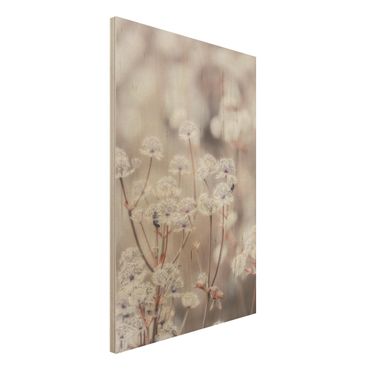 Obraz z drewna - Pierzaste kwiaty polne