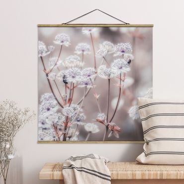 Plakat z wieszakiem - Pierzaste kwiaty polne