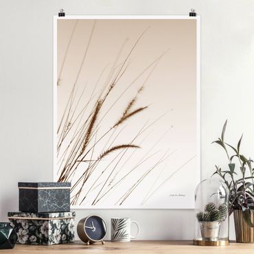 Plakat reprodukcja obrazu - Field grass in sepia
