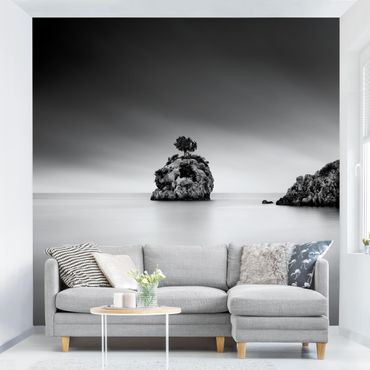 Fototapeta - Skalna wyspa na morzu Czarno-biały
