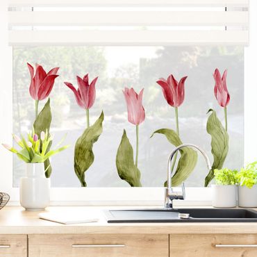 Naklejka na okno - Czerwona akwarela Tulipany