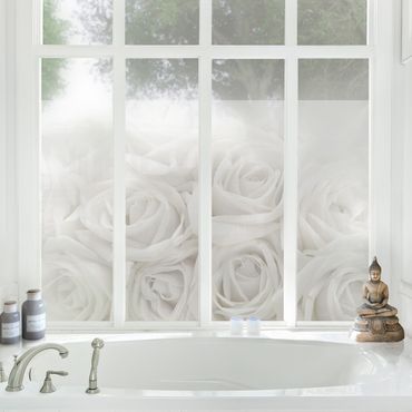 Folia okienna - Białe róże