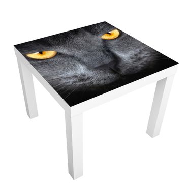 Okleina meblowa IKEA - Lack stolik kawowy - Koty z gazy