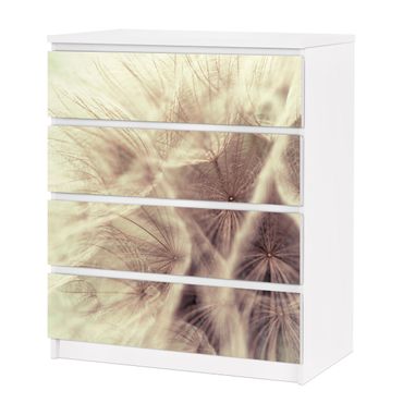 Okleina meblowa IKEA - Malm komoda, 4 szuflady - Szczegółowa makrofotografia mniszka lekarskiego z efektem rozmycia w stylu vintage