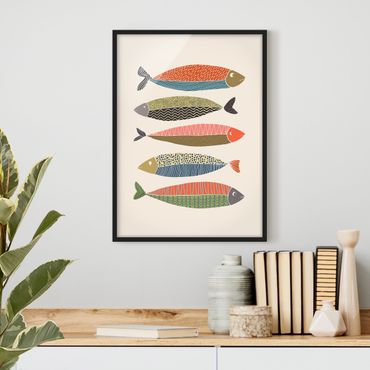 Plakat w ramie - Five Colourful Fish