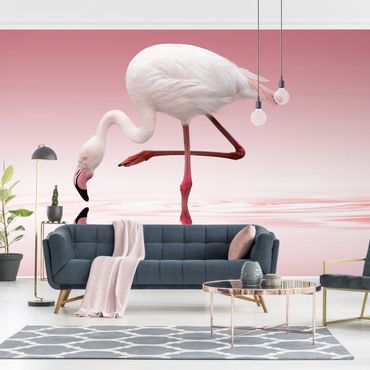 Fototapeta - Taniec flamingów