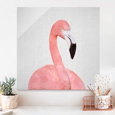 Obraz na szkle - Flamingo Fabian