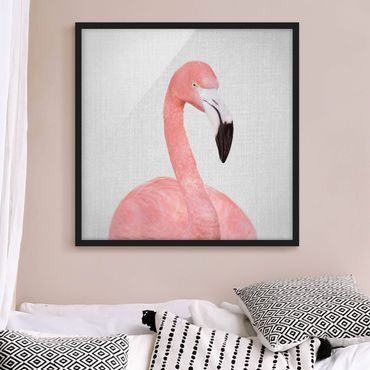 Obraz w ramie - Flamingo Fabian