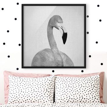 Obraz w ramie - Flamingo Fabian Black And White