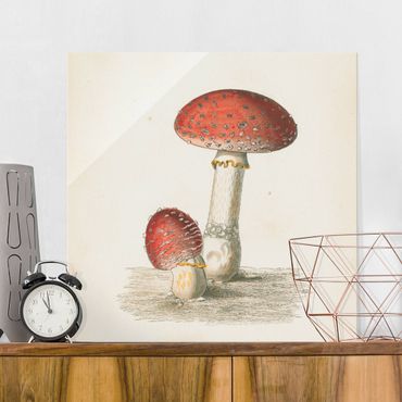 Obraz na szkle - French mushrooms II