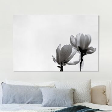 Obraz na płótnie - Spring Messenger Magnolia czarno-biały