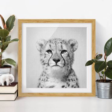 Obraz w ramie - Cheetah Gerald Black And White