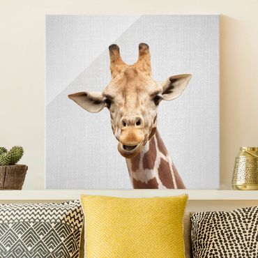 Obraz na szkle - Giraffe Gundel