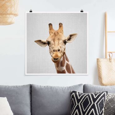 Plakat reprodukcja obrazu - Giraffe Gundel