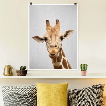 Plakat reprodukcja obrazu - Giraffe Gundel