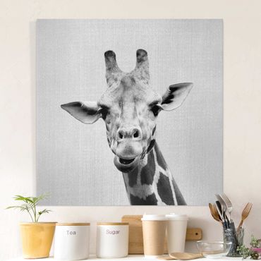 Obraz na płótnie - Giraffe Gundel Black And White - Kwadrat 1:1