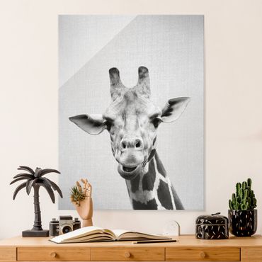 Obraz na szkle - Giraffe Gundel Black And White