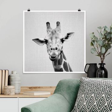 Plakat reprodukcja obrazu - Giraffe Gundel Black And White