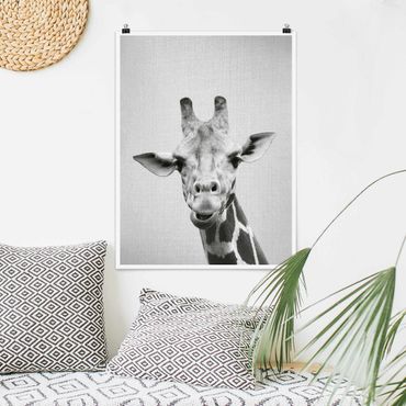 Plakat reprodukcja obrazu - Giraffe Gundel Black And White