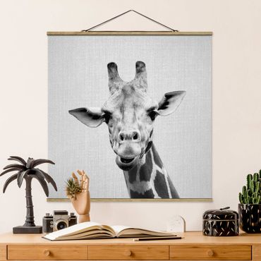 Plakat z wieszakiem - Giraffe Gundel Black And White - Kwadrat 1:1