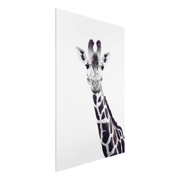 Obraz Forex - Portret żyrafy w czerni i bieli