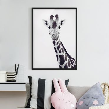 Plakat w ramie - Portret żyrafy w czerni i bieli