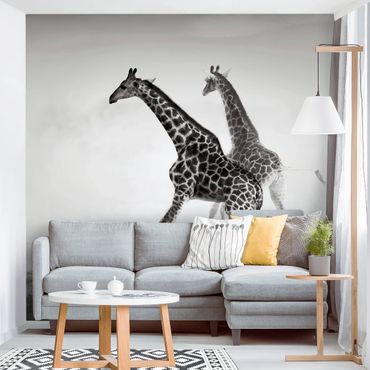 Fototapeta - Polowanie na żyrafę