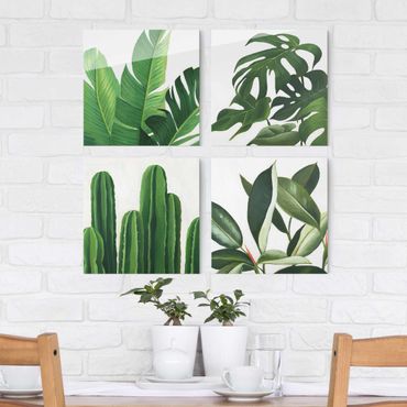 Obraz na szkle 4-częściowy - Favourite Plants Tropical Set I