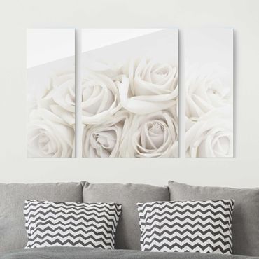 Obraz na szkle 3-częściowy - Białe róże