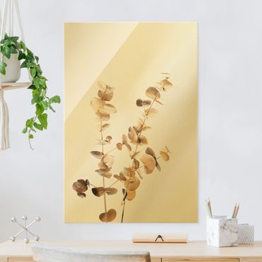 Obraz na szkle - Gałązki eukaliptusa złocistego