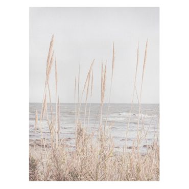 Obraz na płótnie - Trawy nad morzem - Format pionowy 3:4