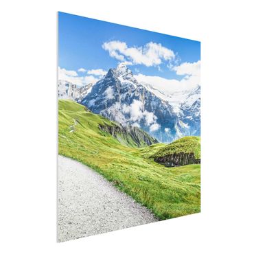Obraz Forex - Grindelwald Panorama