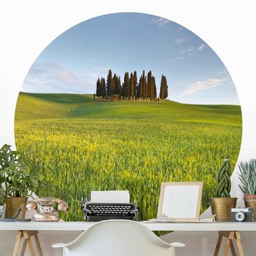 Okrągła tapeta samoprzylepna - Zielone pole w Toskanii