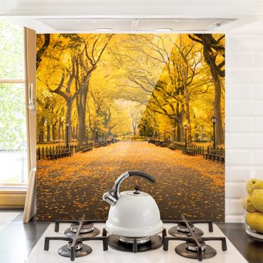 Panel szklany do kuchni - Jesień w Central Parku