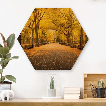 Obraz heksagonalny z drewna - Jesień w Central Parku