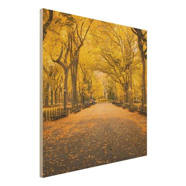 Obraz z drewna - Jesień w Central Parku
