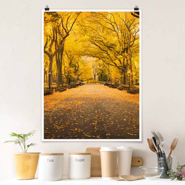Plakat - Jesień w Central Parku