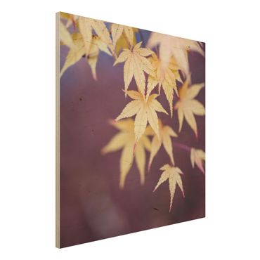 Obraz z drewna - Klon jesienny