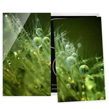 Szklana płyta ochronna na kuchenkę 2-częściowa - Zielone nasiona w deszczu