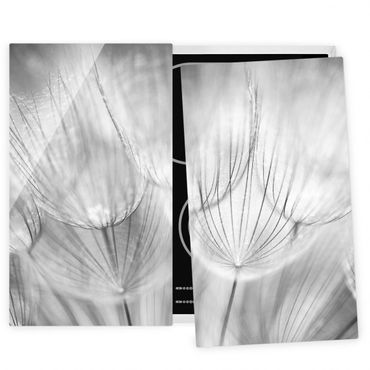 Szklana płyta ochronna na kuchenkę 2-częściowa - Zdjęcie makro mniszka lekarskiego w czerni i bieli