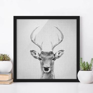 Obraz w ramie - Deer Heinrich Black And White