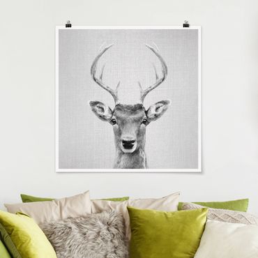 Plakat reprodukcja obrazu - Deer Heinrich Black And White