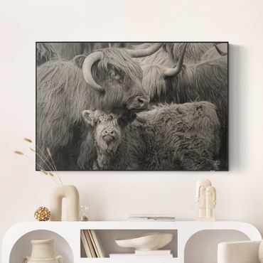 Akustyczny wymienny obraz - Rodzina bydła górskiego