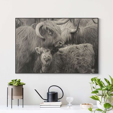 Wymienny obraz - Rodzina bydła górskiego