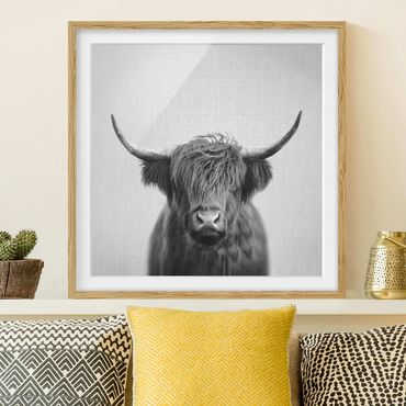 Obraz w ramie - Highland Cow Harry Black And White