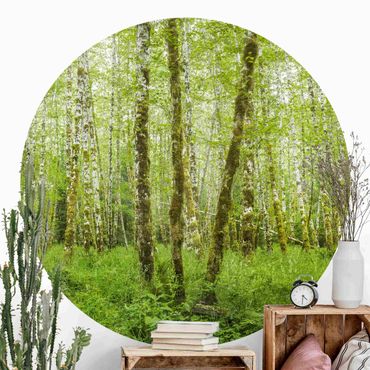Okrągła tapeta samoprzylepna - Hoh Rainforest Olympic National Park