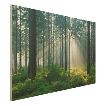 Obraz z drewna - Świetlany las