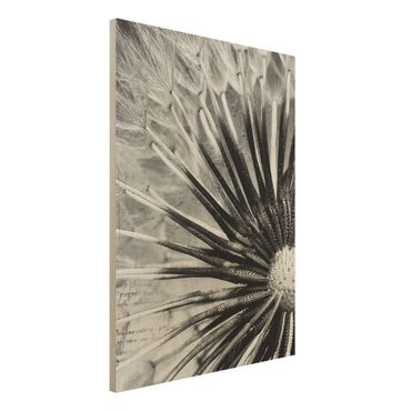 Obraz z drewna - Dandelion czarno-biały